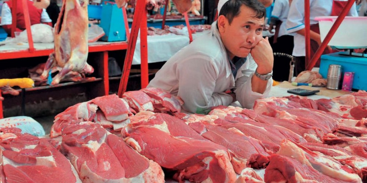 мясо, казахское, Казахстан, ветдокументы