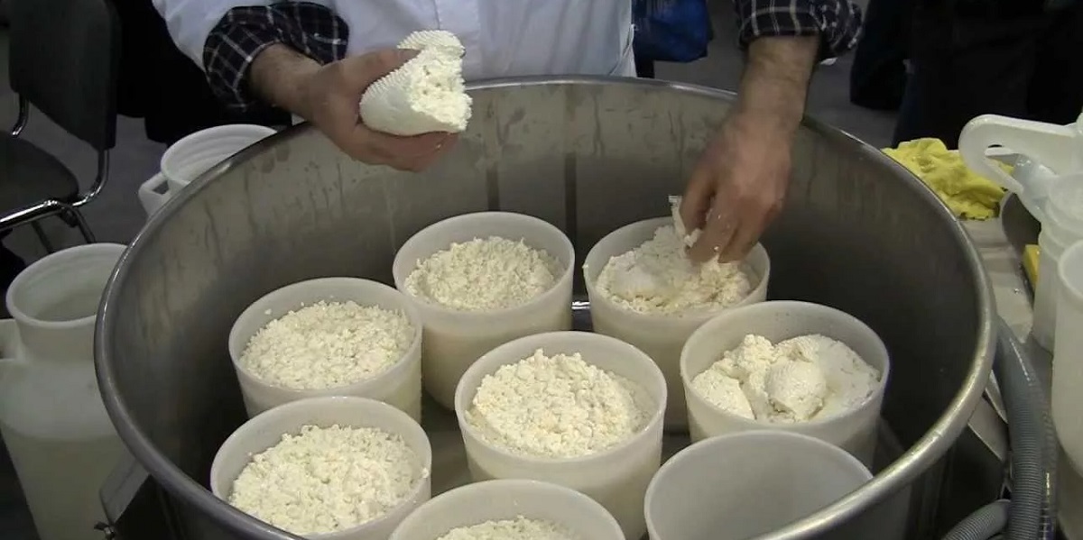 фермерские продукты, ГОСТ, сыры