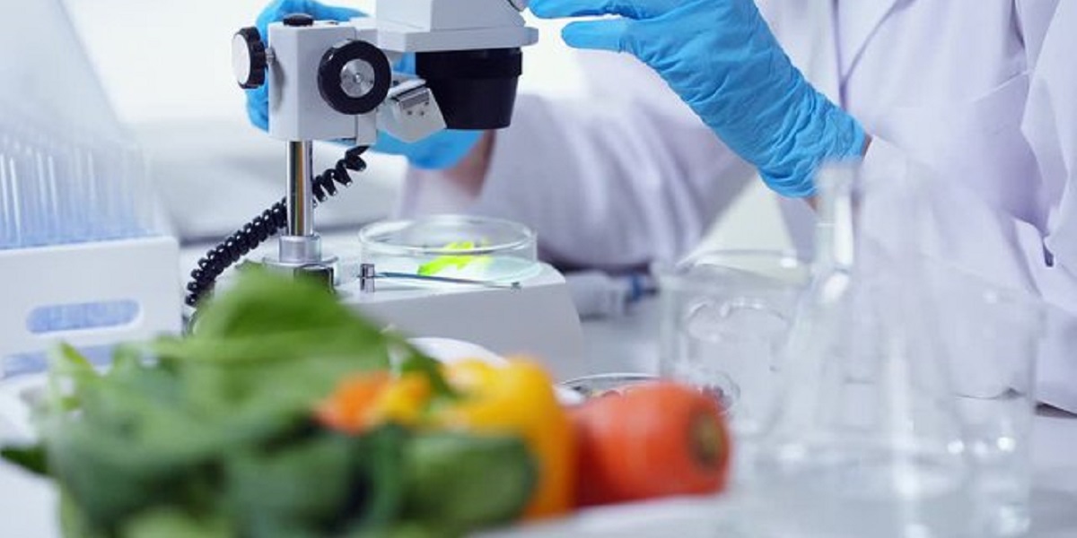 «еда без поля», без климата, продукты, выращивание, биоэкономика