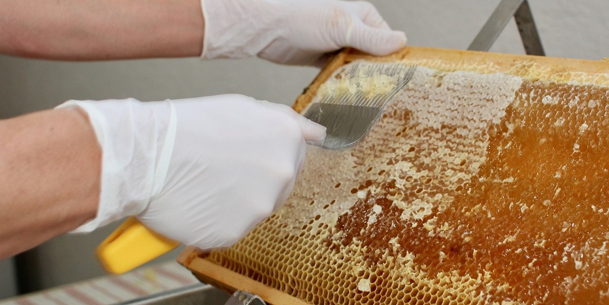 мёд, сбор, производство, дефицит, неурожай