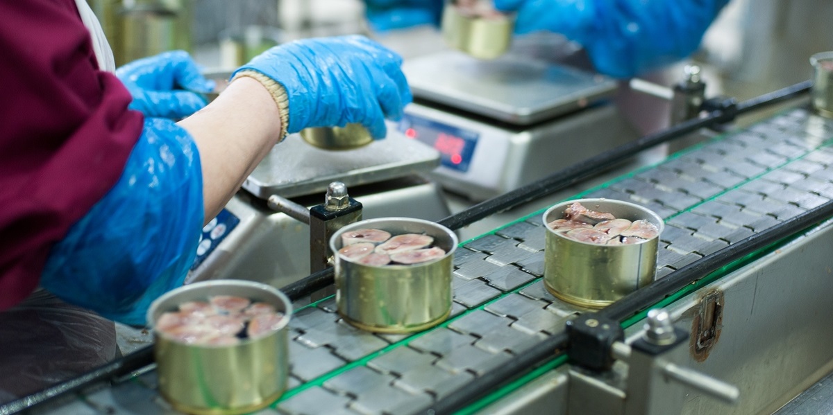 Мурманск, переработка, треска, печень, законопроект, консервы