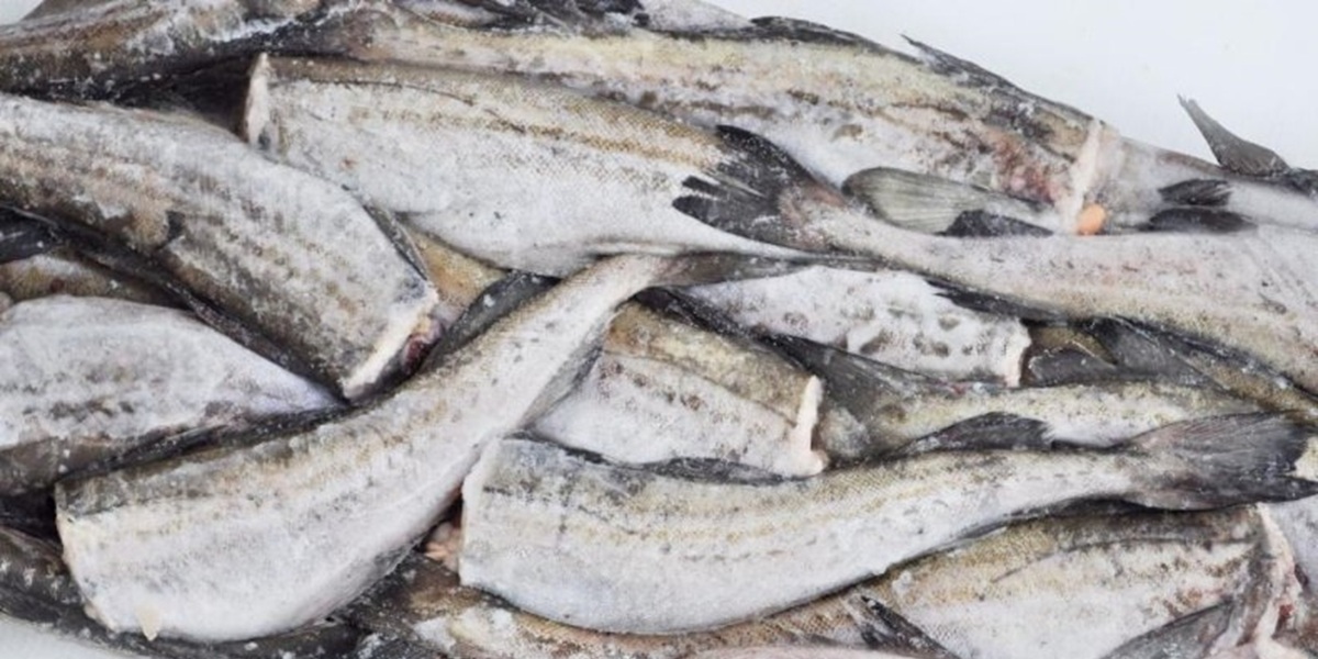 Рыба, эспорт, Бразилия